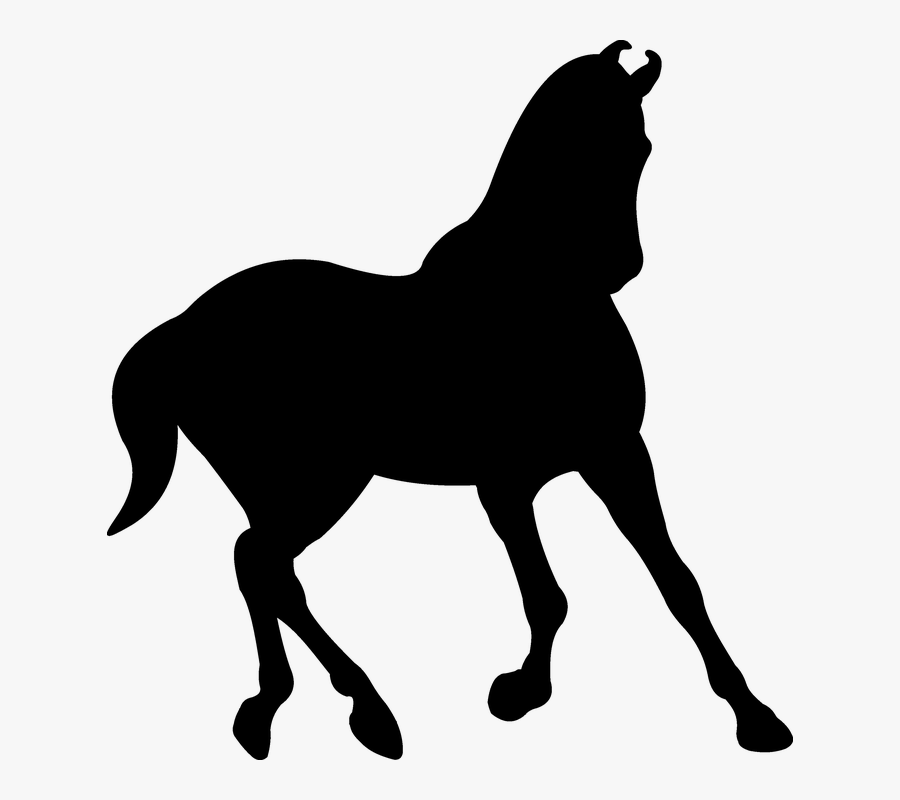 Silhouette Saddle Horse Black Trot - Symbol Pferd, Transparent Clipart
