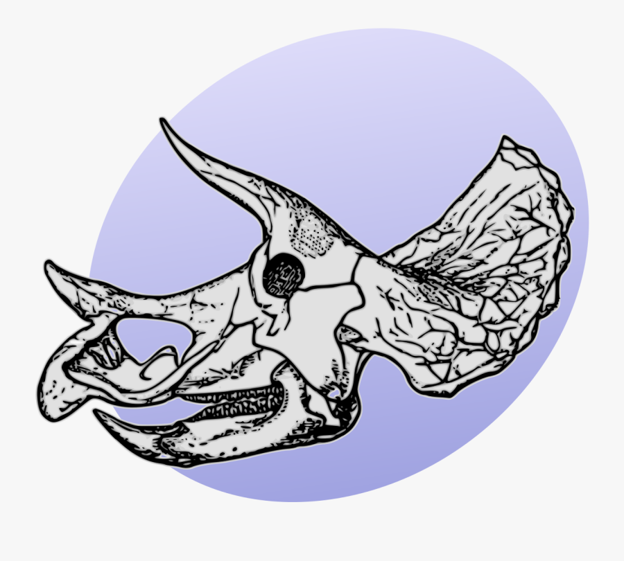 Triceratops Skeleton Drawing - Triceratops Skull Diagram, Transparent Clipart