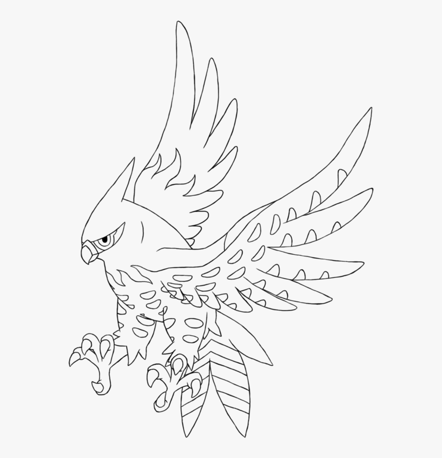 Clip Art Desenhos Pokemon - Talonflame Black And White, Transparent Clipart