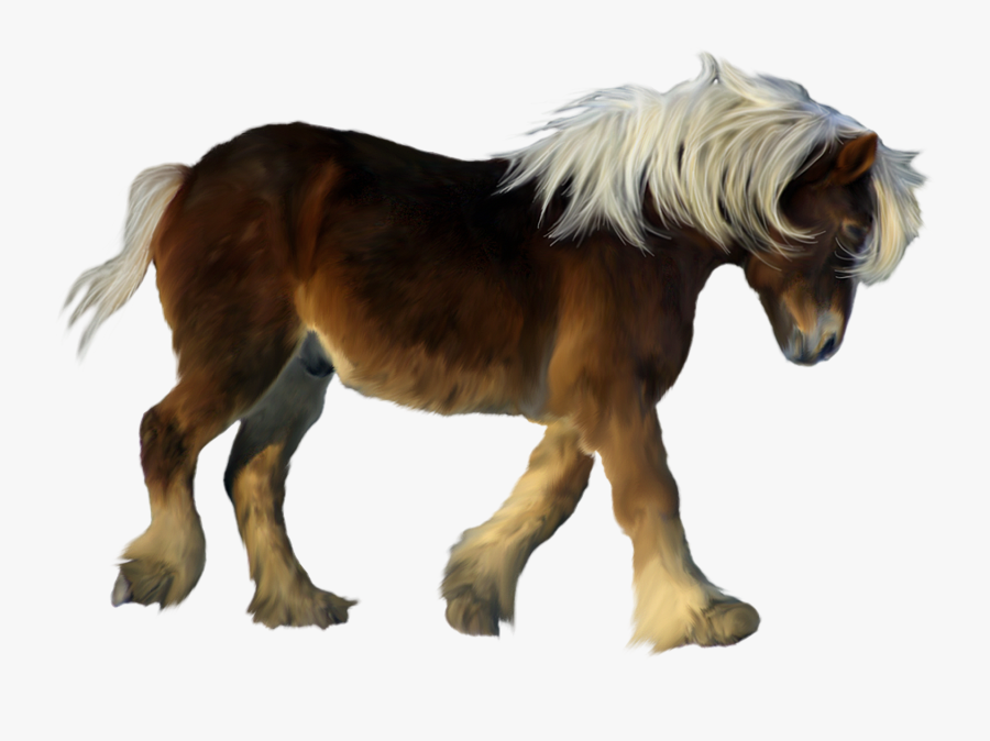 Brown Pony 3d Clipart - Real Pony Transparent Background, Transparent Clipart