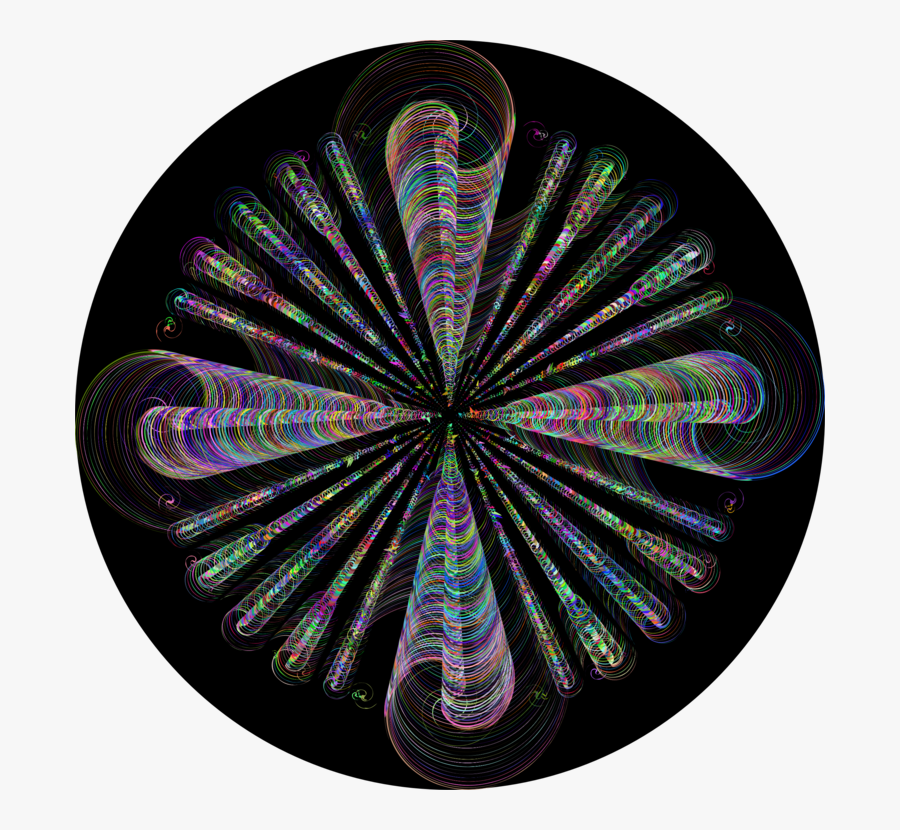 Circle,organism,spiral - Circle, Transparent Clipart