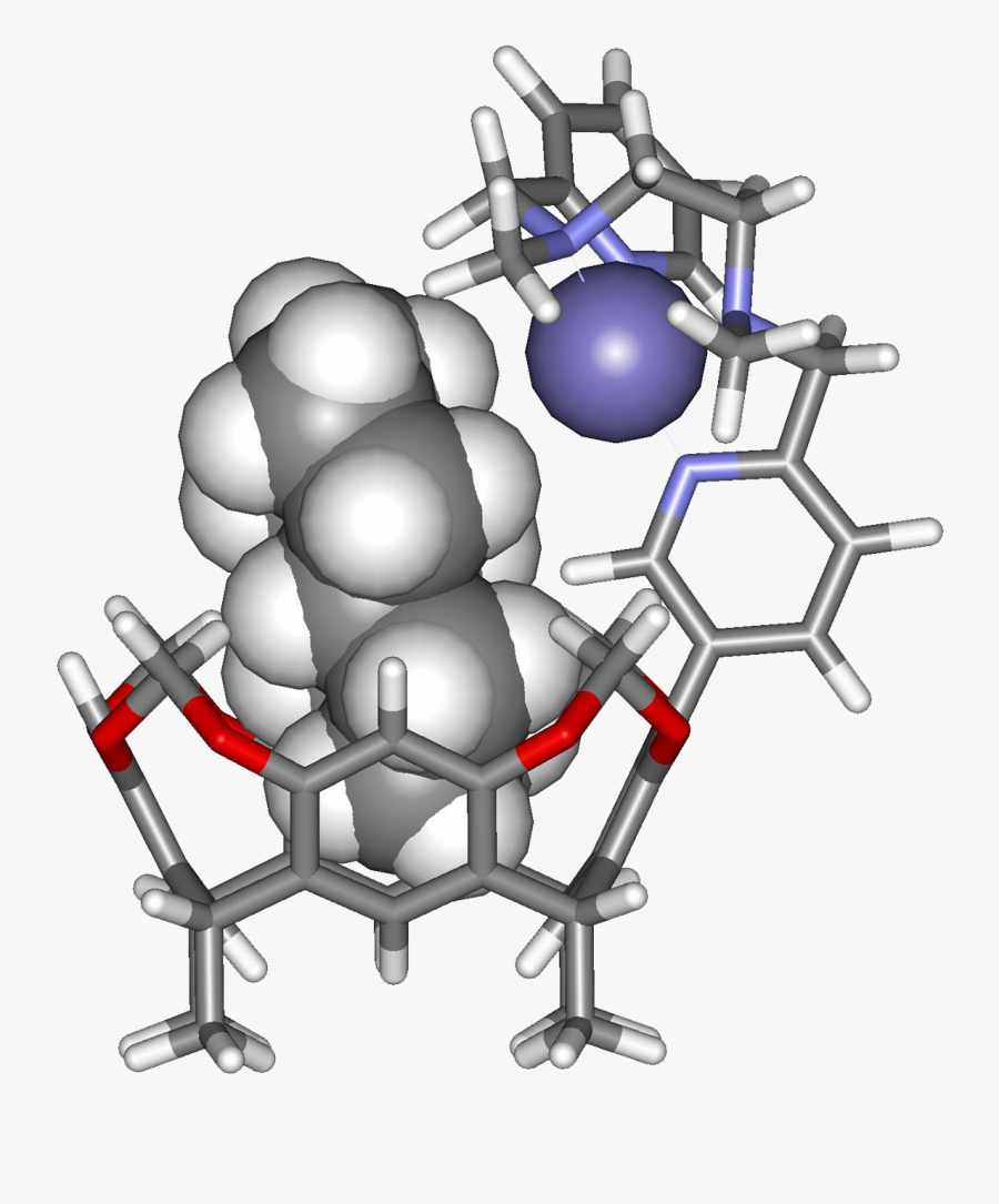 Enzymes Provide A Hydrophobic Pocket For The Binding - Illustration, Transparent Clipart