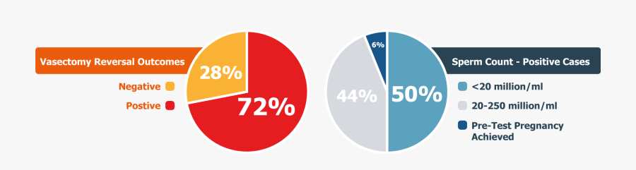 Clipart Freeuse Vasectomy Clip Post Op - Circle, Transparent Clipart