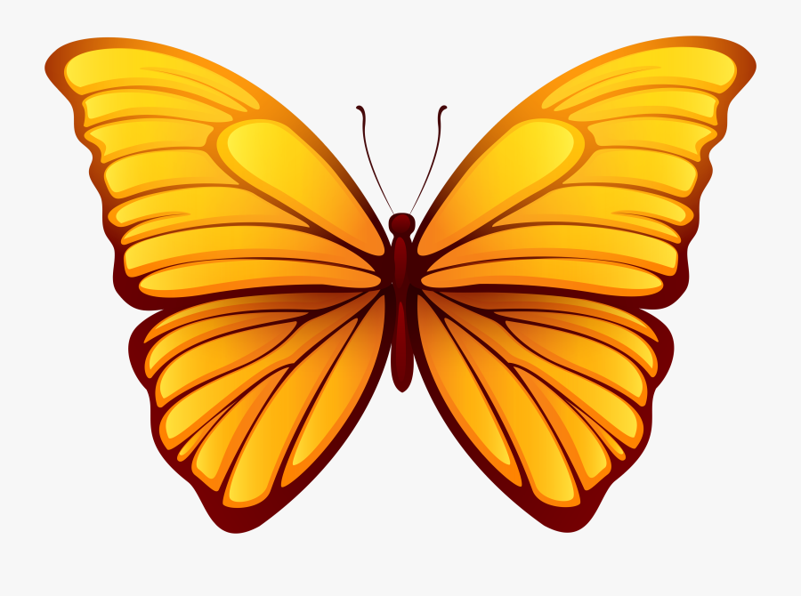 Butterfly Png Clipart , Png Download - Transparent Background Butterfly Png, Transparent Clipart