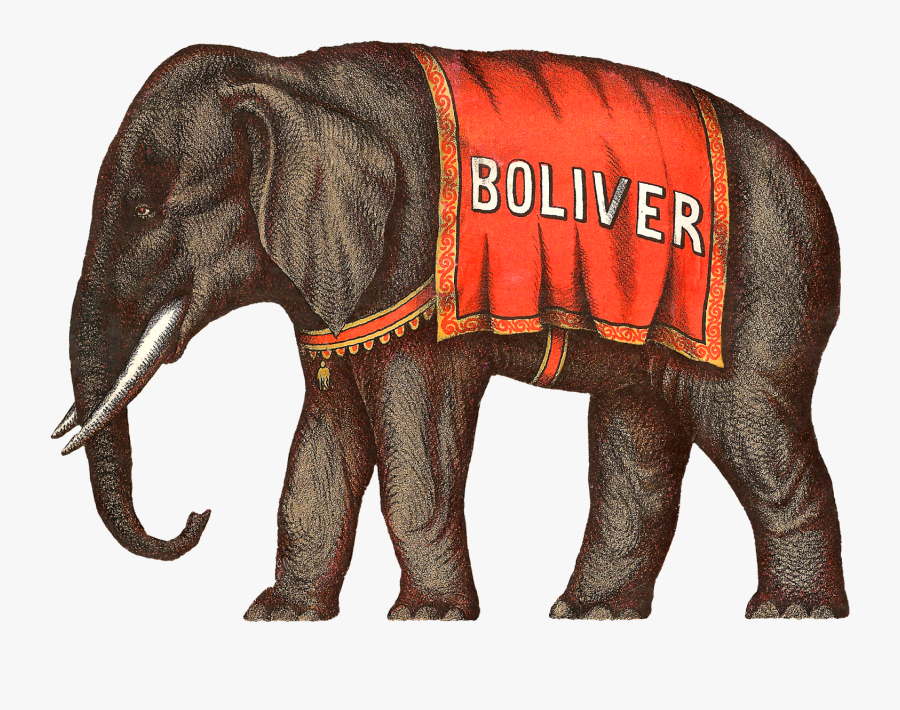 Vintage Circus Elephant Illustration, Transparent Clipart