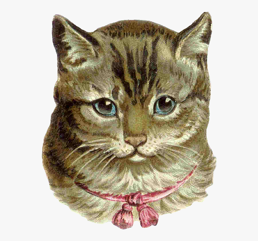 Victorian Animal Clipart - Cat Vintage Png, Transparent Clipart