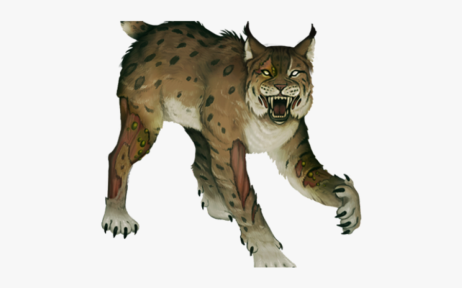 Lynx Png Transparent Images - Bobcat, Transparent Clipart