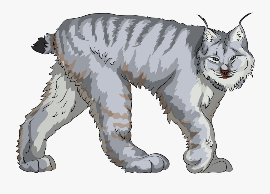 Cat Yawns, Transparent Clipart