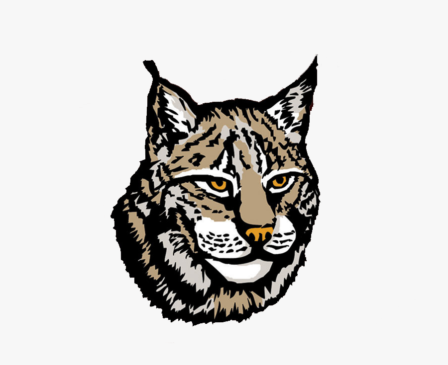 Lynx Clipart Lynx Head - Luchs Clipart, Transparent Clipart