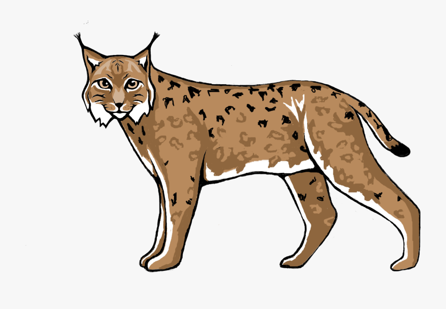 Lynx Transparent Images - Luchs Clipart, Transparent Clipart