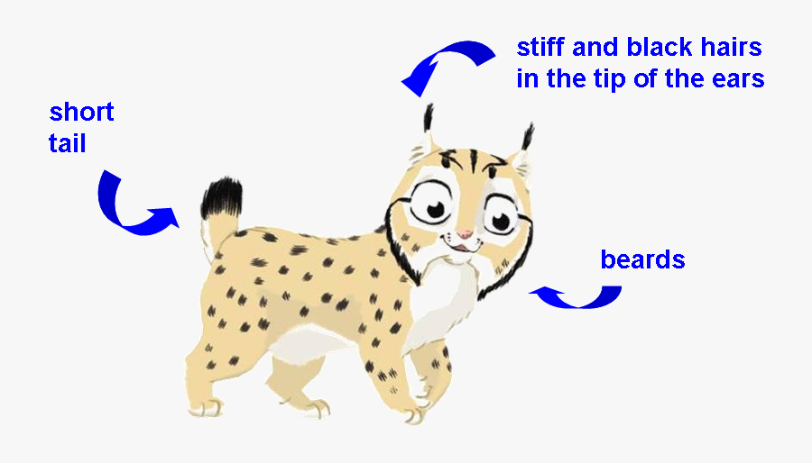 Cartoon, Transparent Clipart