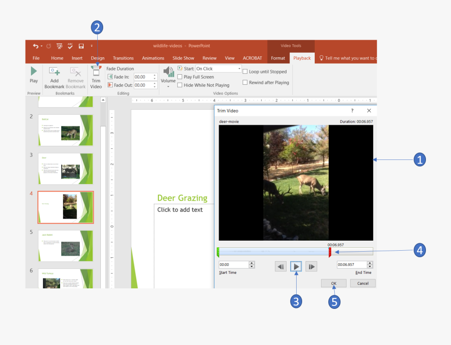 Trim A Video In Powerpoint - Trim Video Clips Powerpoint, Transparent Clipart