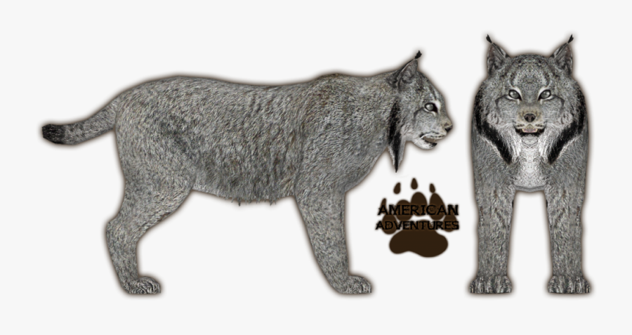 Zoo Tycoon 2 Lynx, Transparent Clipart