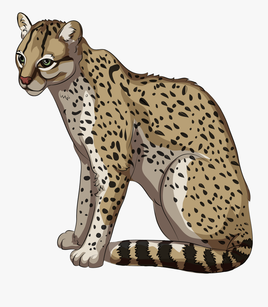Cheetah, Transparent Clipart