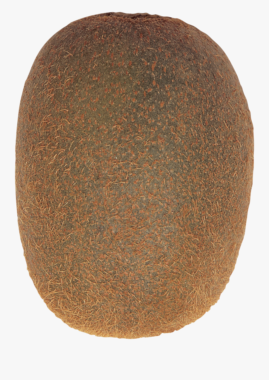 Circle, Transparent Clipart