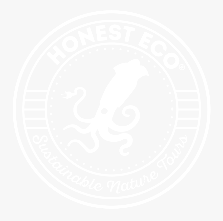 Check All Availability - Lynx Accesorios, Transparent Clipart