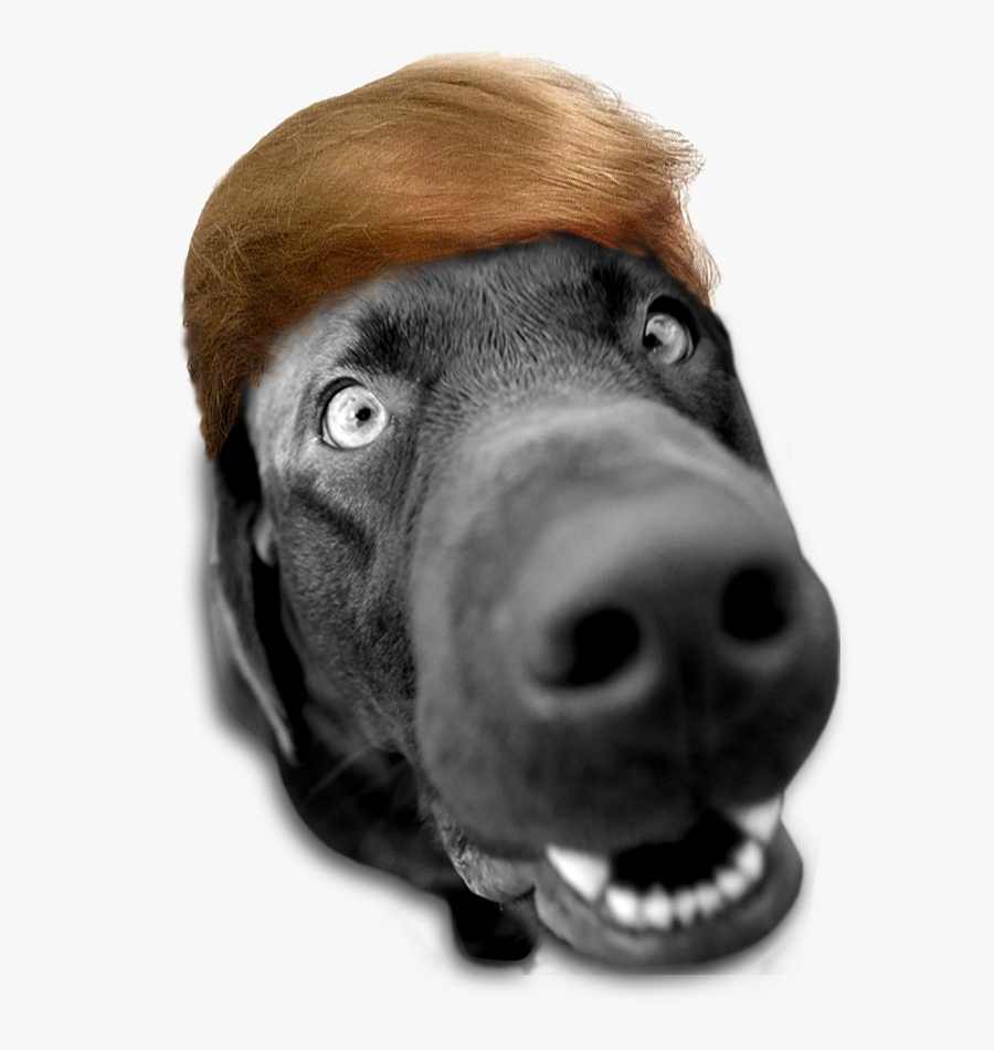 Transparent Sad Mouth Png - Cattle, Transparent Clipart