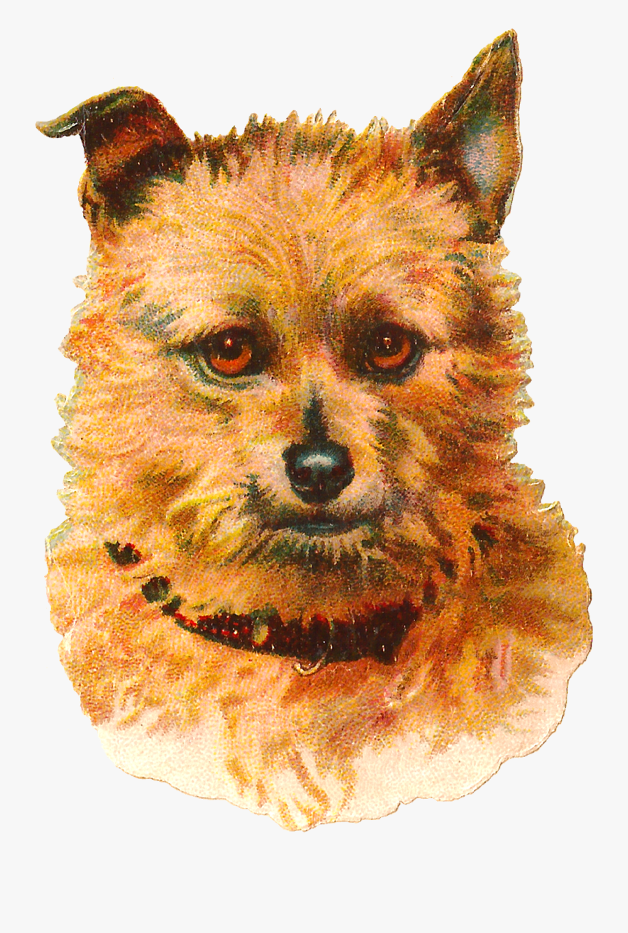 Dog Vintage Png, Transparent Clipart