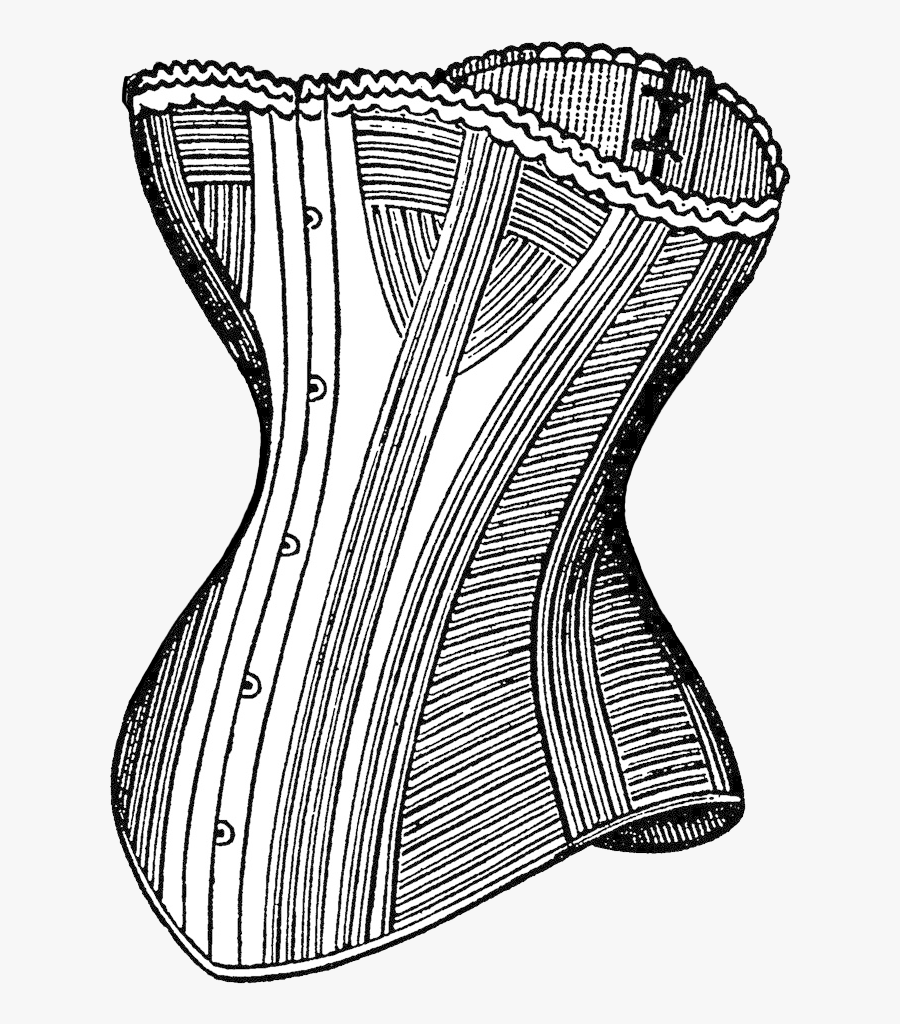 Sketch, Transparent Clipart