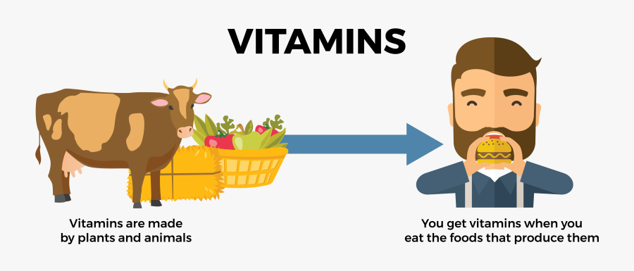 Transparent Vitamins And Minerals Clipart - Minerals Trace Elements Cartoon, Transparent Clipart