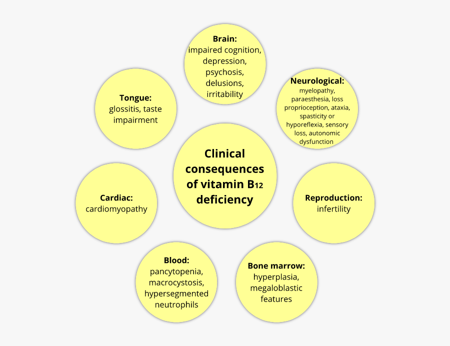 Deficiency Of Vitamin B12 Consequence, Transparent Clipart