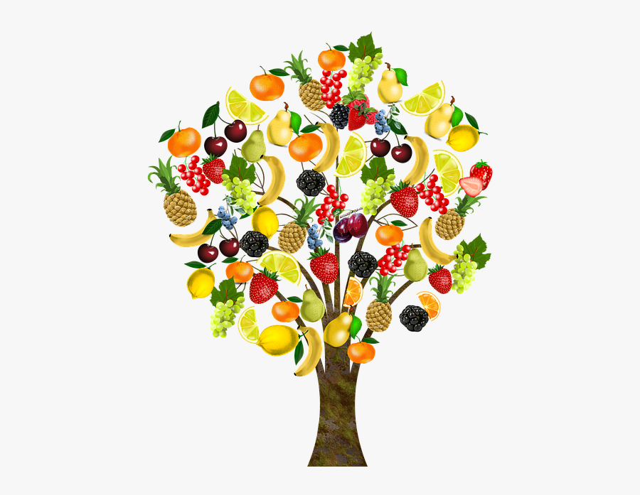 Fruit Mind Map, Transparent Clipart
