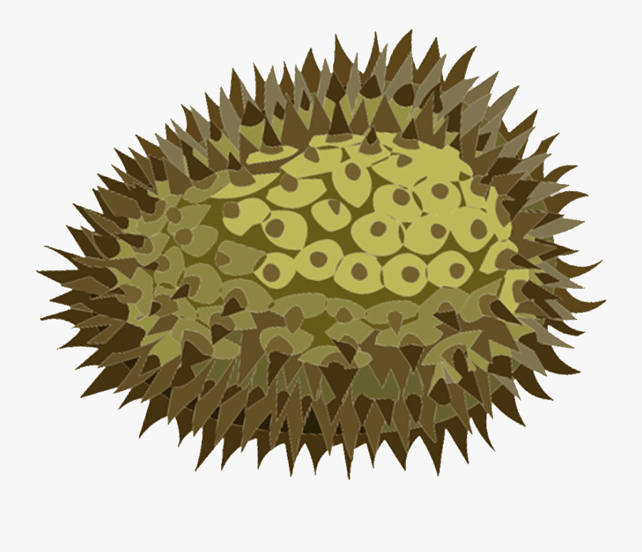 Clipart Of Durian Free - Durian, Transparent Clipart