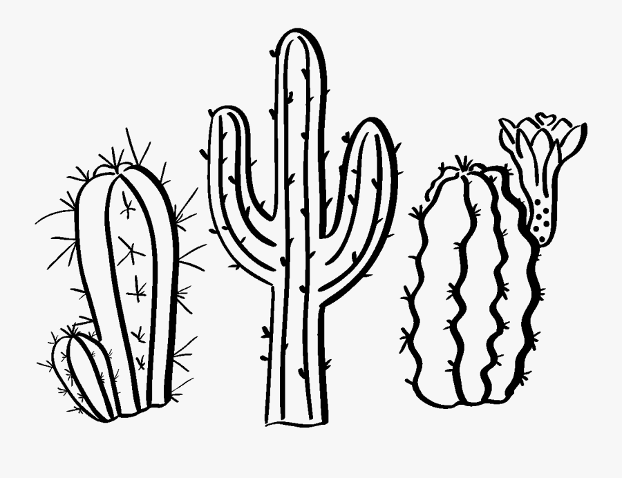 Sticker Boheme 3 Cactus Du Desert Ambiance Sticker - Drawings Of A Cactus i...