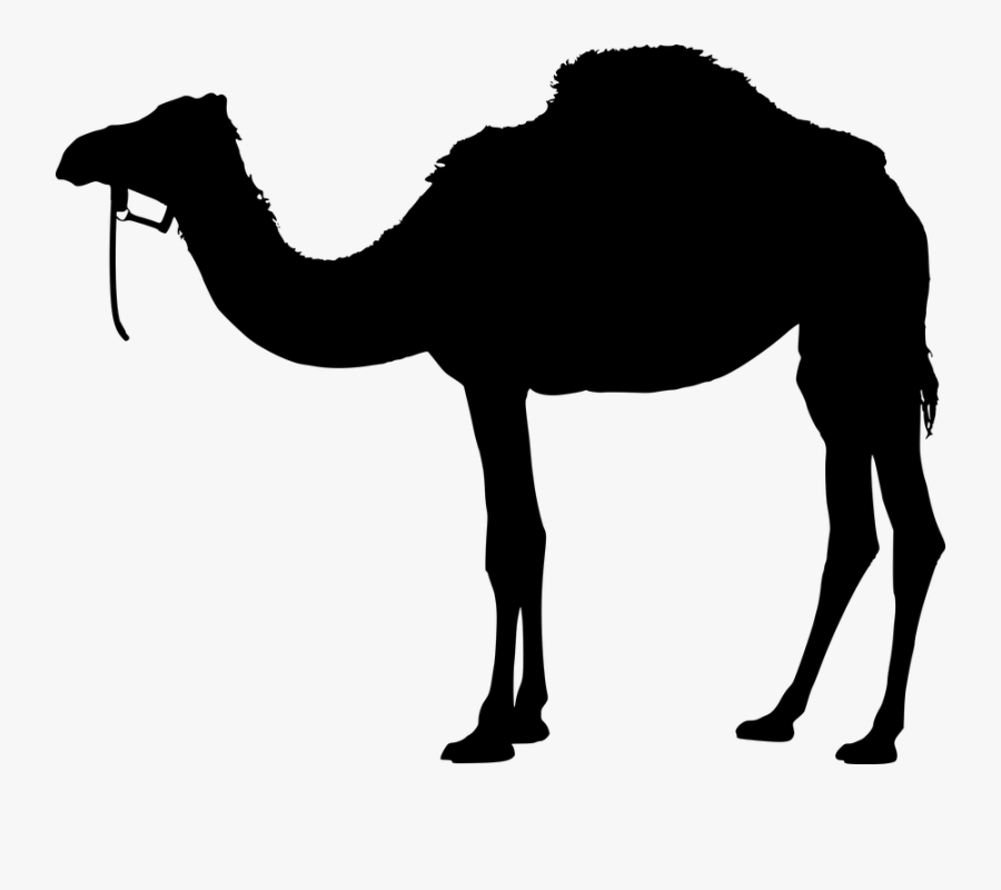Camel, Animal, Silhouette, Back, Black, Desert, Design - Camel Png Hd, Transparent Clipart