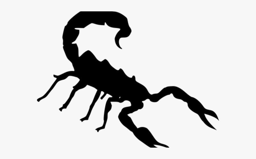 Long Range Desert Group Logo Clipart , Png Download - Clipart Scorpion, Transparent Clipart