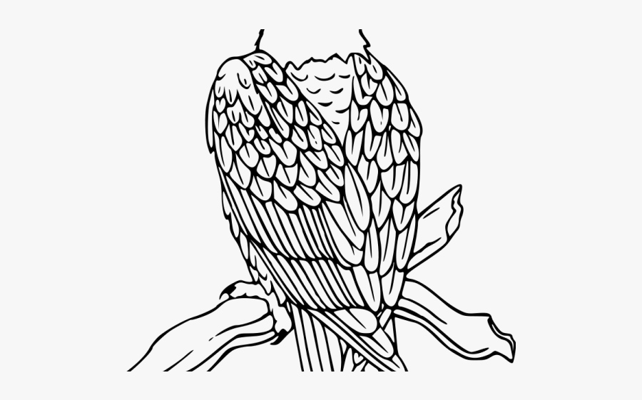 Black Eagle Clipart Desert Eagle - Draw An Eagle Sitting, Transparent Clipart