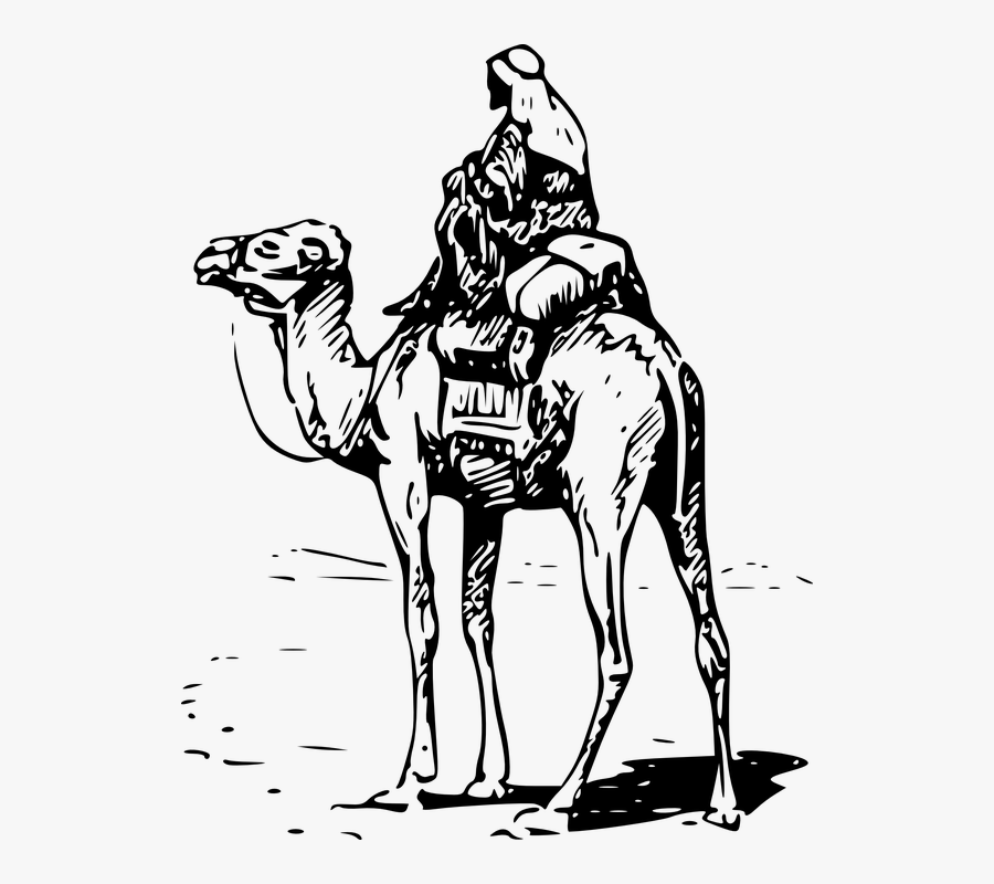 Camel, Sand, Animal, Desert, Travel, Rider - Dark Web Silk Road Logo, Transparent Clipart