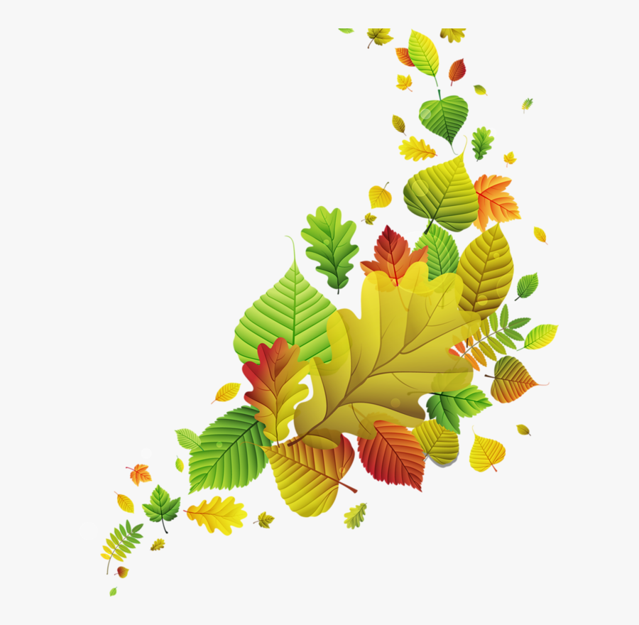 Leaf, Transparent Clipart