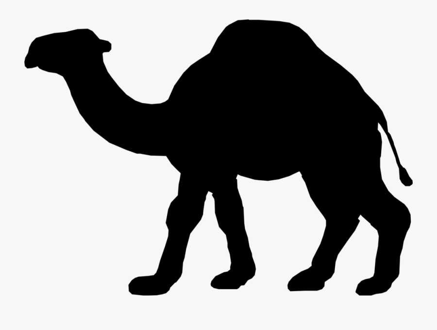 Dromedary Illustration Silhouette Desert Clip Art - Portable Network Graphics, Transparent Clipart