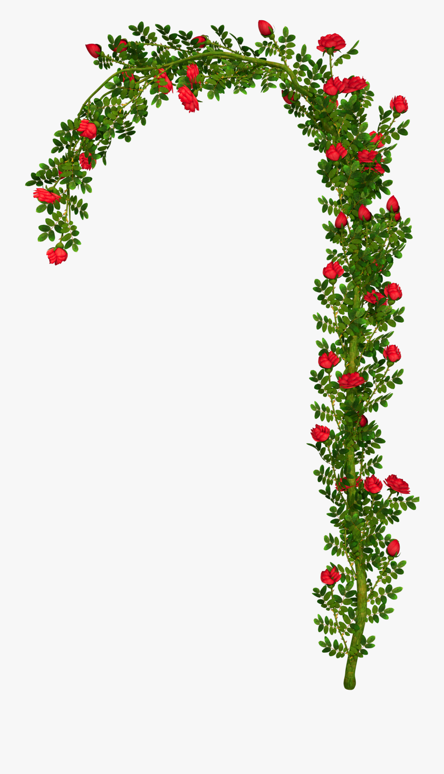 Arch Png - Rose Bush Png Clipart, Transparent Clipart