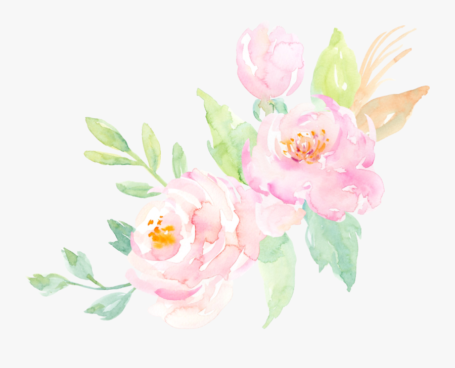 #freetoedit #ftestickers #decoration #element #clipart - Garden Roses, Transparent Clipart