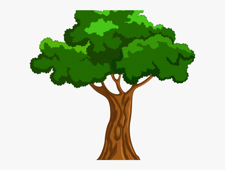 Codes For Insertion - Transparent Background Tree Clipart, Transparent Clipart