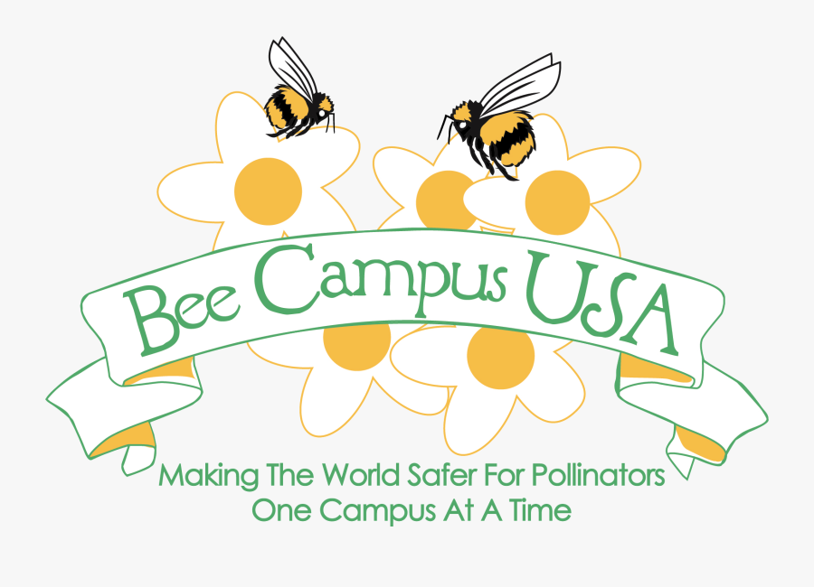 Bee Campus Usa, Transparent Clipart