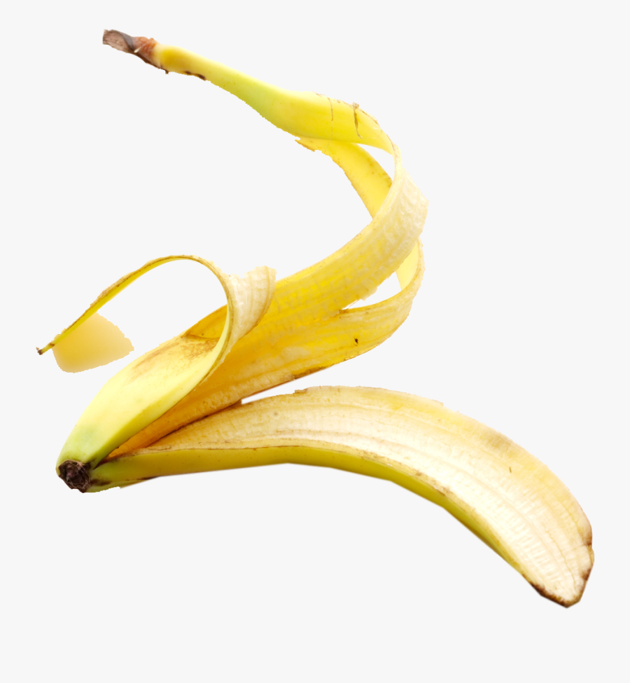 Clip Art Photo Banana Peel Png , Free Transparent Clipart ClipartKey