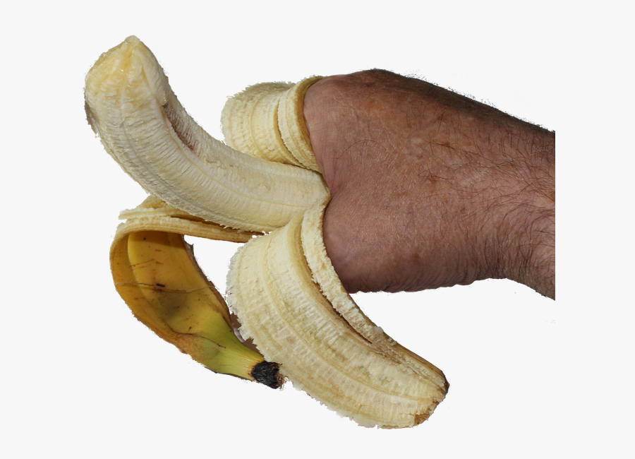Banana Eryngii,plant,cooking Plantain,food,fruit - Banana Hand Png, Transparent Clipart