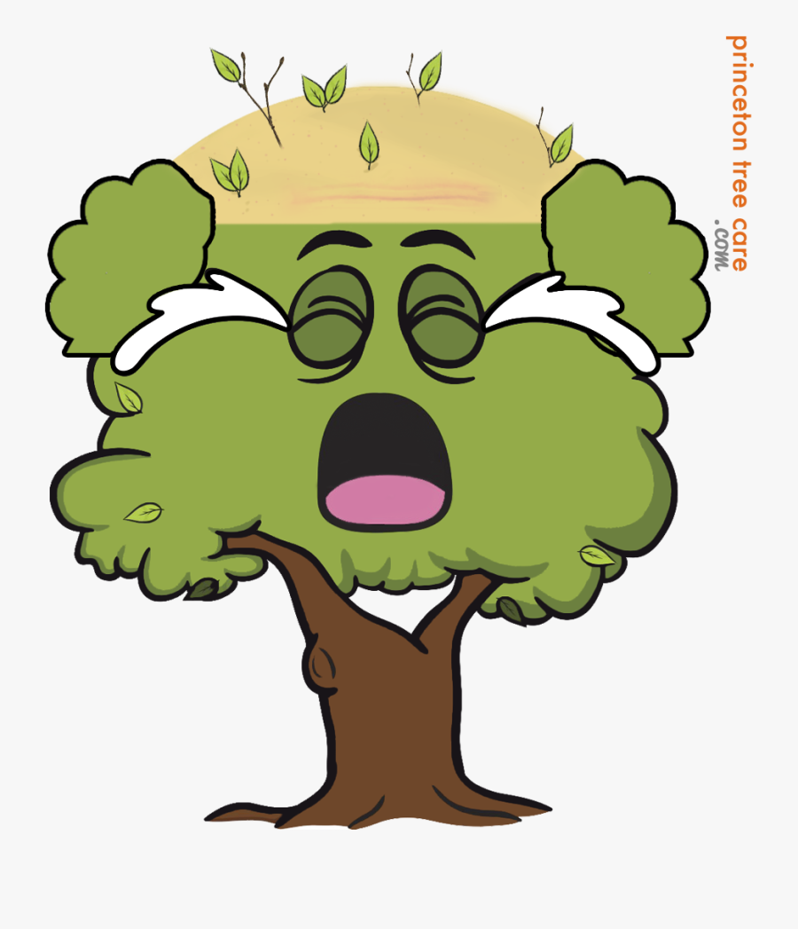 Lumberjack Clipart Tree Removal - Cartoon Tree With Face, Transparent Clipart