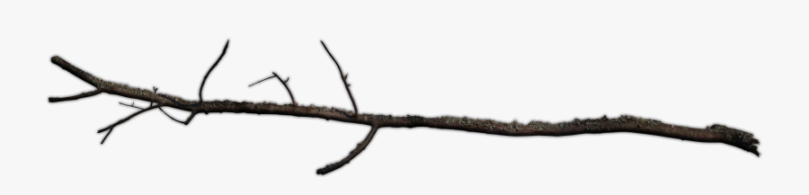 Clipart Transparent Library Google Trees And Branches - Tree Branch Stick Png, Transparent Clipart