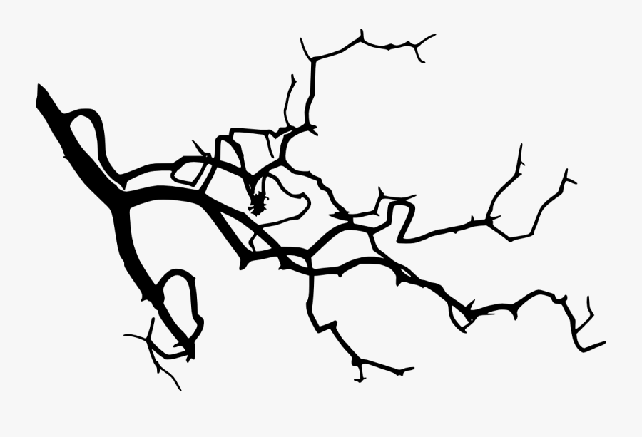 Branches Silhouette Tree Branches Png Clipart , Png - Silhouette Oak Tree Branch, Transparent Clipart