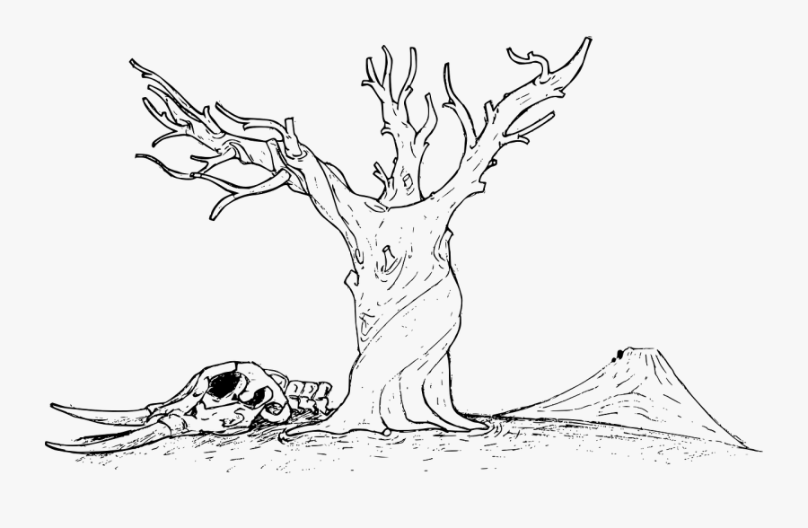 Art,monochrome Photography,shoe - Line Art Drawing Nature, Transparent Clipart