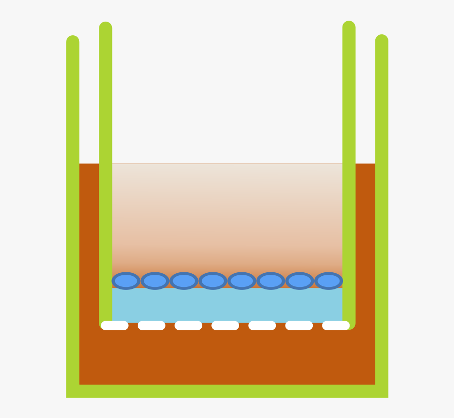 Transwell Clip Art, Transparent Clipart