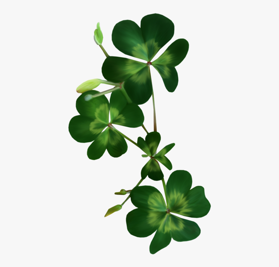 Transparent Shamrocks Png - Fer A Cheval Trefles Png, Transparent Clipart