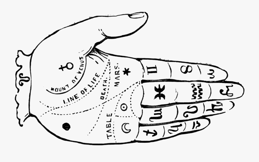 Foretelling Fortune By Lines In The Hand - Fortune Teller Hand Png, Transparent Clipart