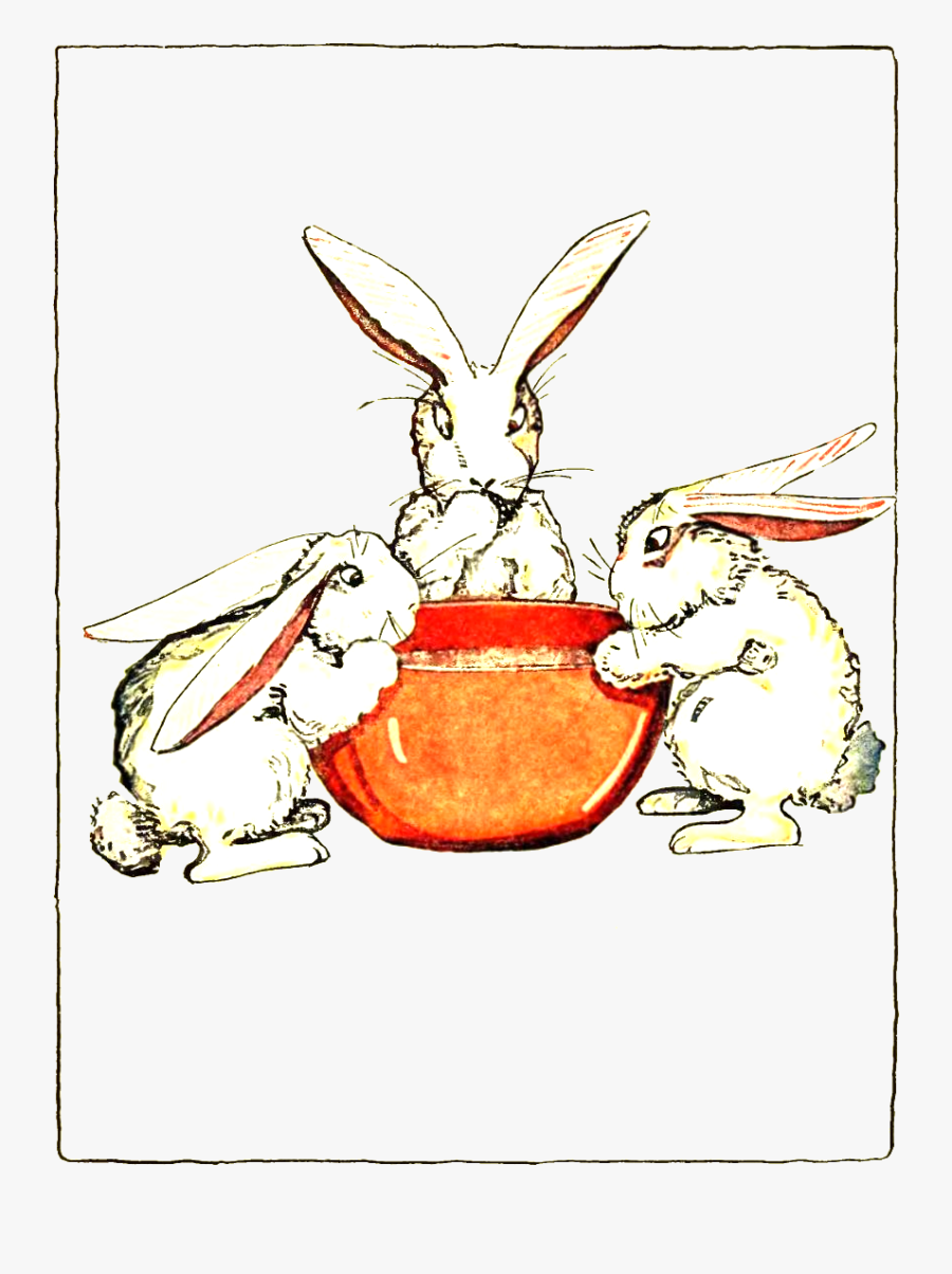 Peter Rabbit Albert - The Tale Of The Flopsy Bunnies, Transparent Clipart