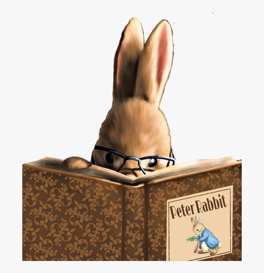 #bunny #reading #book #peterrabbit - Hare, Transparent Clipart