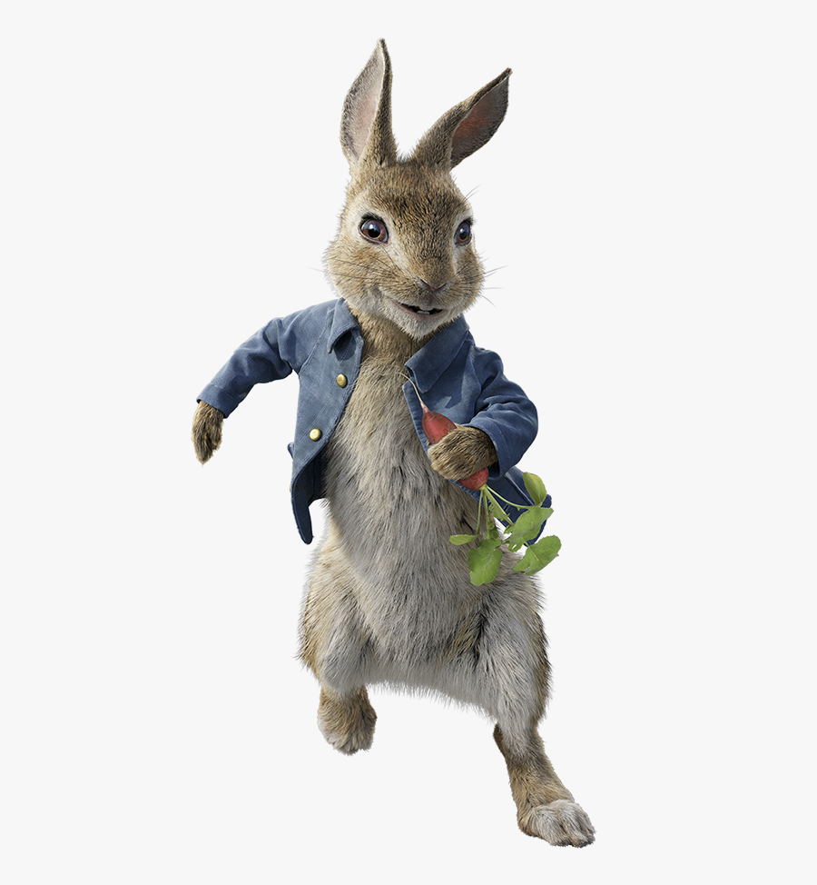 Peter Rabbit Png Page - Peter Rabbit Movie Characters, Transparent Clipart